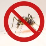 Cuidados contra o mosquito